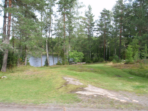 Lakeside view.